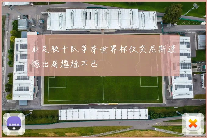 非足联十队争夺世界杯仅突尼斯遗憾出局尴尬不已