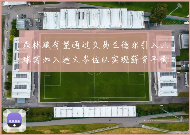森林狼有望通过交易兰德尔引入三球需加入迪文岑佐以实现薪资平衡